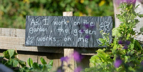 World Mental Health Day wellbeing