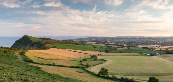 Devon Countryside - cropped