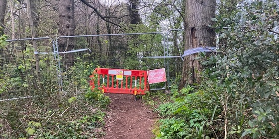Ness woodland closure