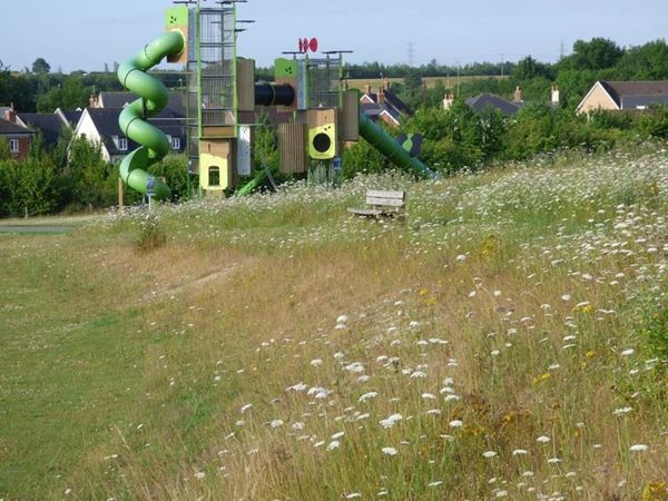 Picket Twenty urban meadow