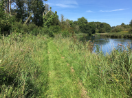 River at Mottisfont by Aleksandra Olejnik