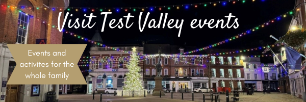VTV Xmas banner
