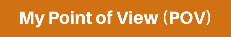 my point of view POV