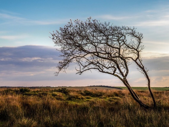 Northern Devon Landscape for file