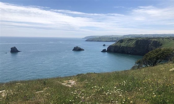 Photograph of Berry Head