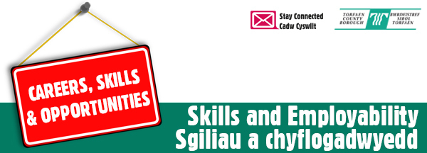 Skills And Employability November   Bwletin Sgiliau A Chyflogadwyedd 