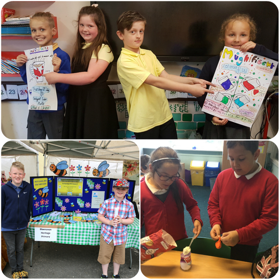 ent week 2017 collage