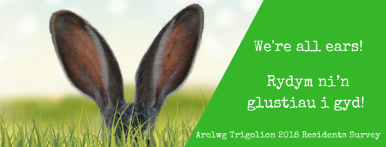 Residents Survey 2018 Banner