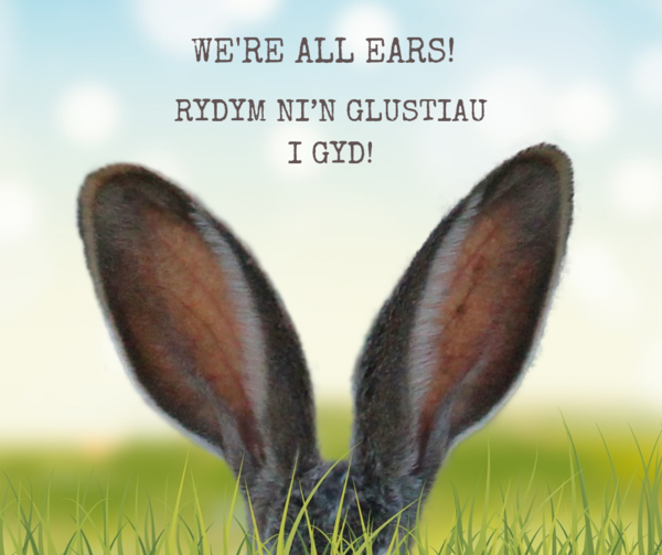 Residents Survey 2018 grey