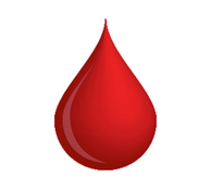Blood