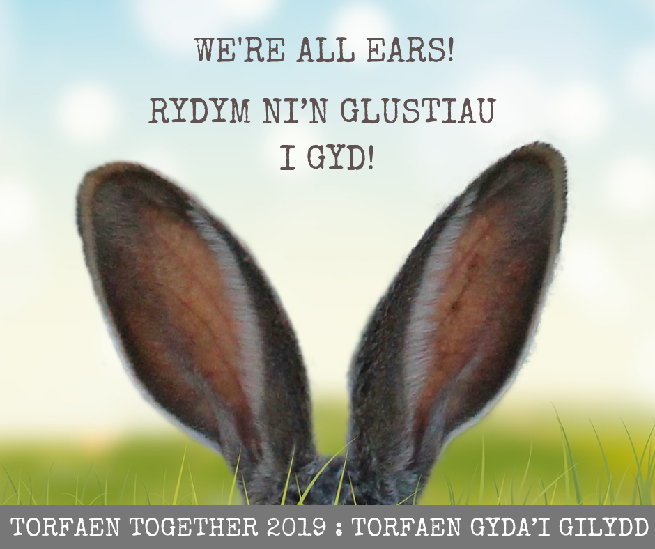 Residents Survey 2019 (correct Welsh version)