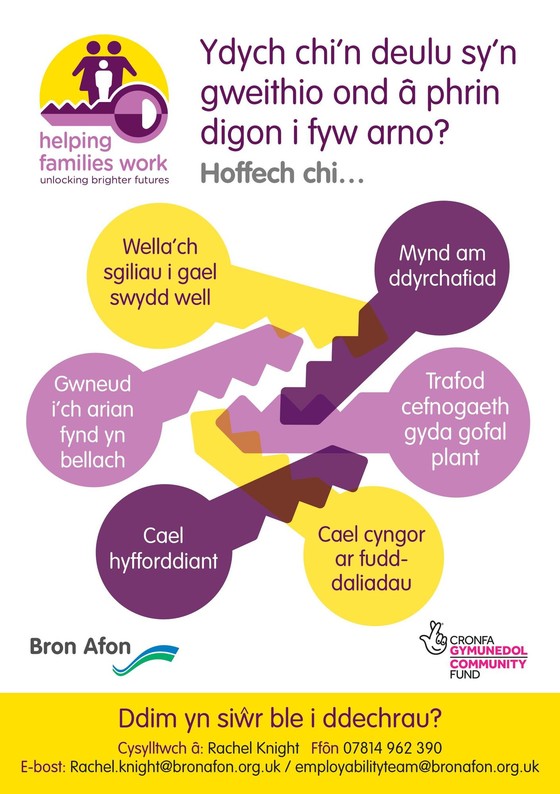 BA Families Work Welsh