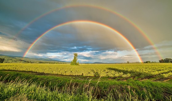 rainbbow