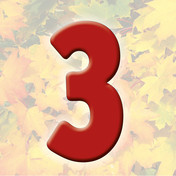 autumn 3