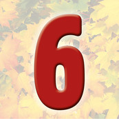 6