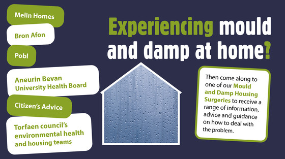 mould and damp surgeries