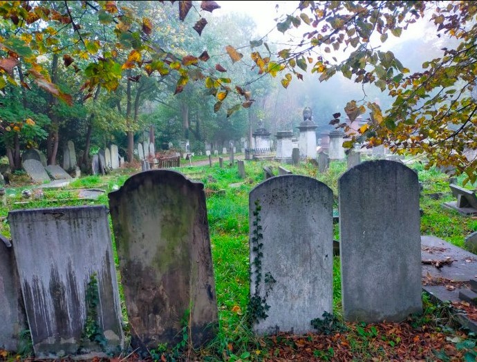 Lunchtime Heritage Walks at Tower Hamlets Cemetery Parks