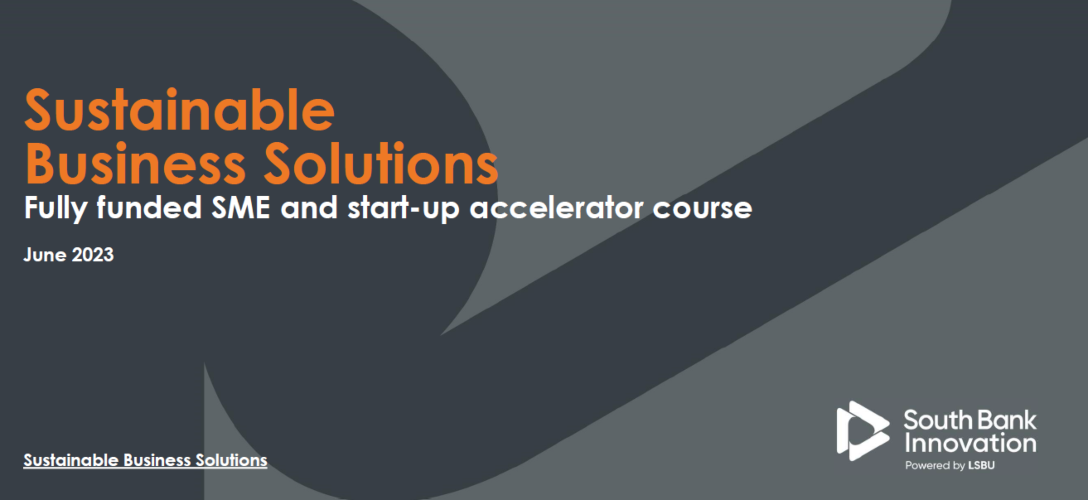 Sustainable Business Solutions, Google Digital Skills Training