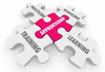 Apprenticeship on the job training learning puzzle pieces words 3d Illustration