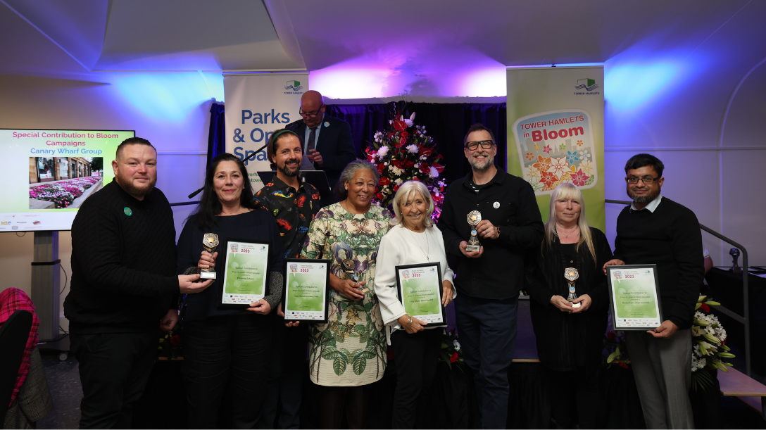 Here's how to get your real Christmas tree collected