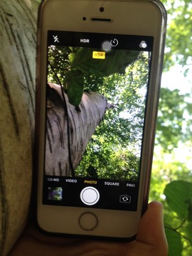 picture this photo walks