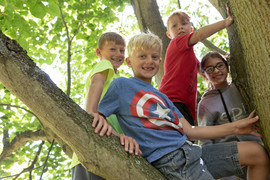 play rangers kids in tree