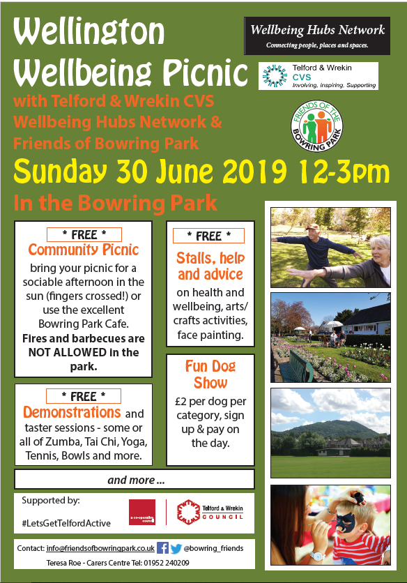 Welllingotn Well being picnics