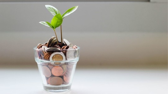 A glass filled with copper coins and a small plant growing out of the money, stands on a bright windowsill