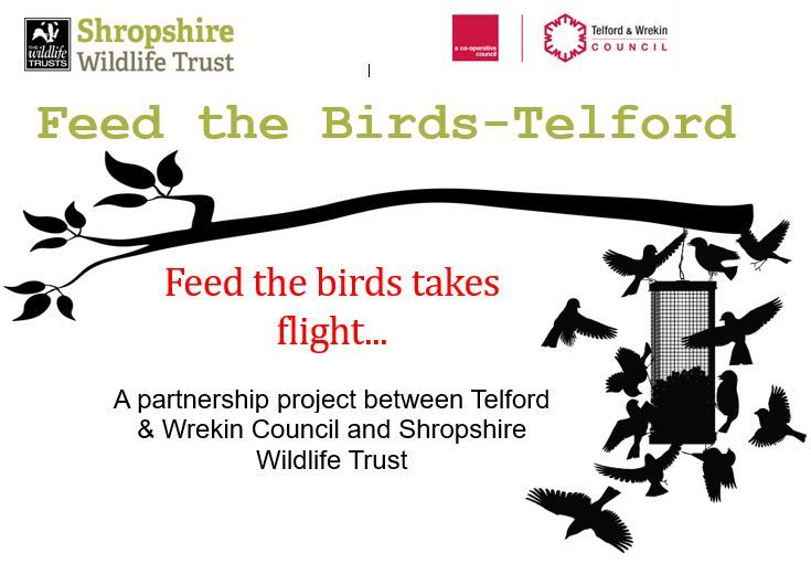 Feed the Birds - Telford: A partnership between Telford & Wrekin Council and Shropshire Wildlife Trust