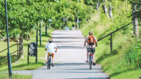 A wide pathway in an open green space. A man and a boy, both in bicycles, are riding away down the path.