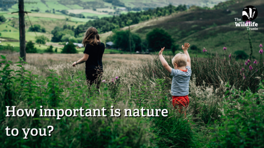 A teenage girl and a younger boy walking through wild flowers, rolling hills in the background