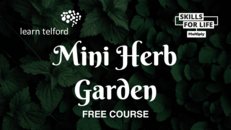 Mini Herb Garden