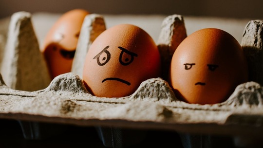2 eggs in an open egg box with faces drawn on them. One egg has a worried face, the other looks unimpressed