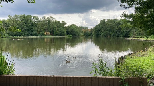 A photo of Dothill pool, taken from the bank and looking across the water into the surrounding trees