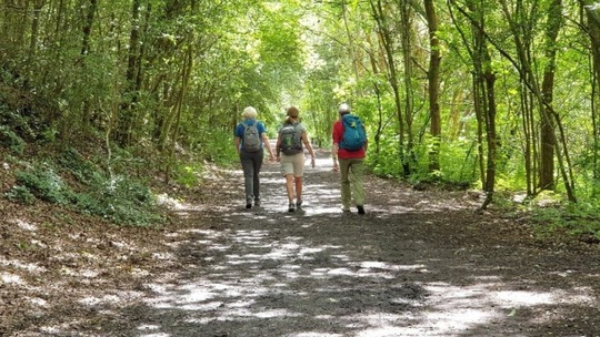 Three people wearing comfortable clothes and backpacks walking away down a sunny woodland path
