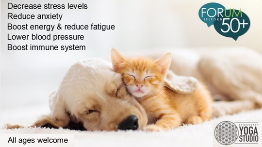 A honey-coloured spaniel snuggled up and asleep with a ginger kitten. Text reproduced in article below.