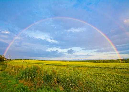 A complete rainbow stretches across a sunny blue, partially cloudy sky above green fields