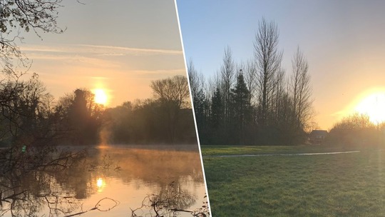 Photos of Dothill Pool and a footpath in Rough Park, both taken in the early morning as the sun is rising.