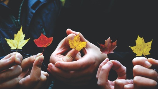 Five people's hands each holding a different coloured autumn leaf. The colours range from red through to yellow.