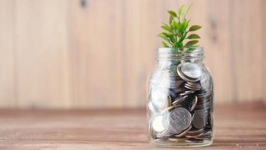 A jam jar filled with coins, out of which a small plant is growing.
