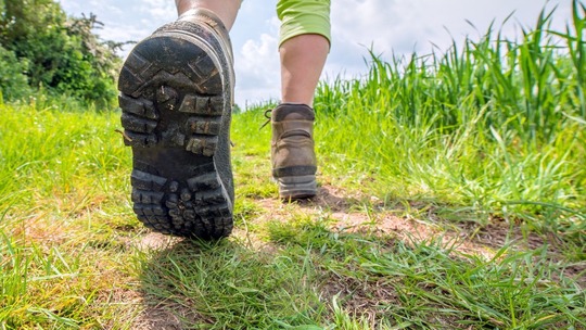 Close-up of a walker's feet, in walking boots, striding away from the camera along a grassy path
