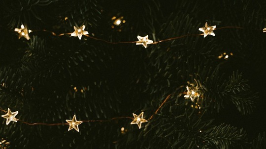 A string of tiny star-shaped lights in the boughs of a dark green Christmas tree