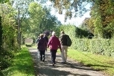 health walks