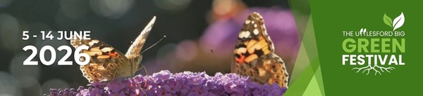 BGF banner1