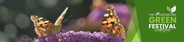 banner1
