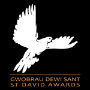 Nominate now for the St David Awards 2018 