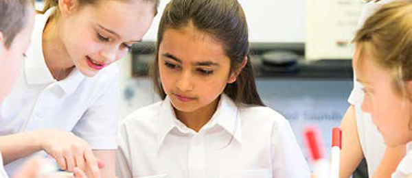 Education - National School Categorisation System 1 - 600260