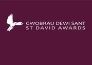 St David's Awards