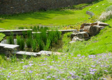 sustainable drainage