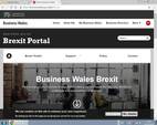 Brexit Portal Picture